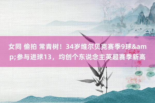 女同 偷拍 常青树！34岁维尔贝克赛季9球&参与进球13，均创个东说念主英超赛季新高