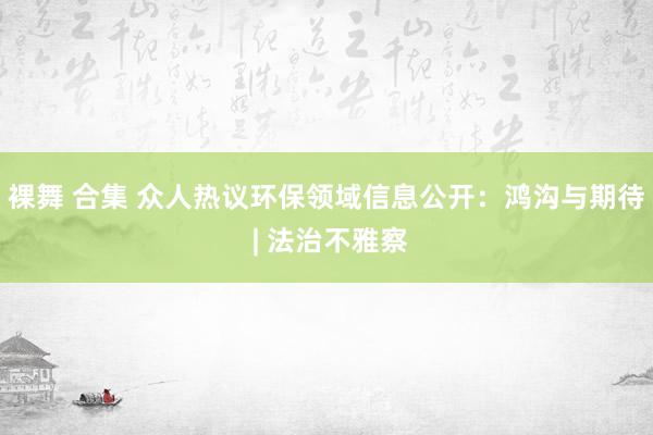 裸舞 合集 众人热议环保领域信息公开：鸿沟与期待 | 法治不雅察
