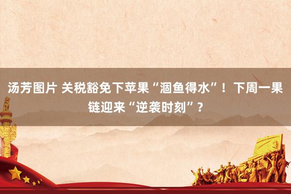 汤芳图片 关税豁免下苹果“涸鱼得水”！下周一果链迎来“逆袭时刻”？