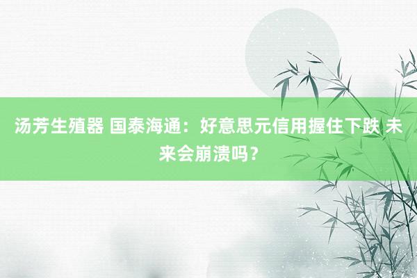 汤芳生殖器 国泰海通：好意思元信用握住下跌 未来会崩溃吗？