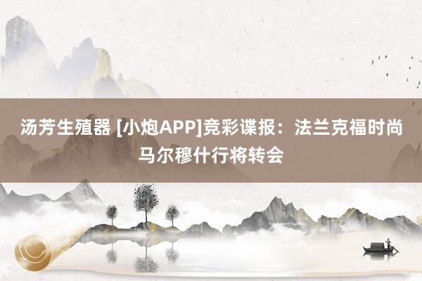 汤芳生殖器 [小炮APP]竞彩谍报：法兰克福时尚马尔穆什行将转会