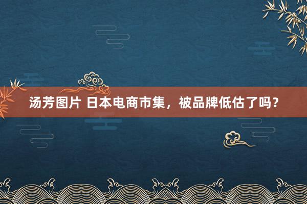 汤芳图片 日本电商市集，被品牌低估了吗？