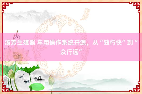 汤芳生殖器 车用操作系统开源，从“独行快”到“众行远”