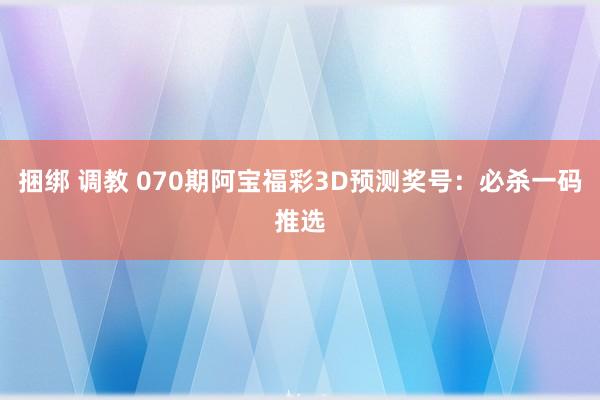 捆绑 调教 070期阿宝福彩3D预测奖号：必杀一码推选